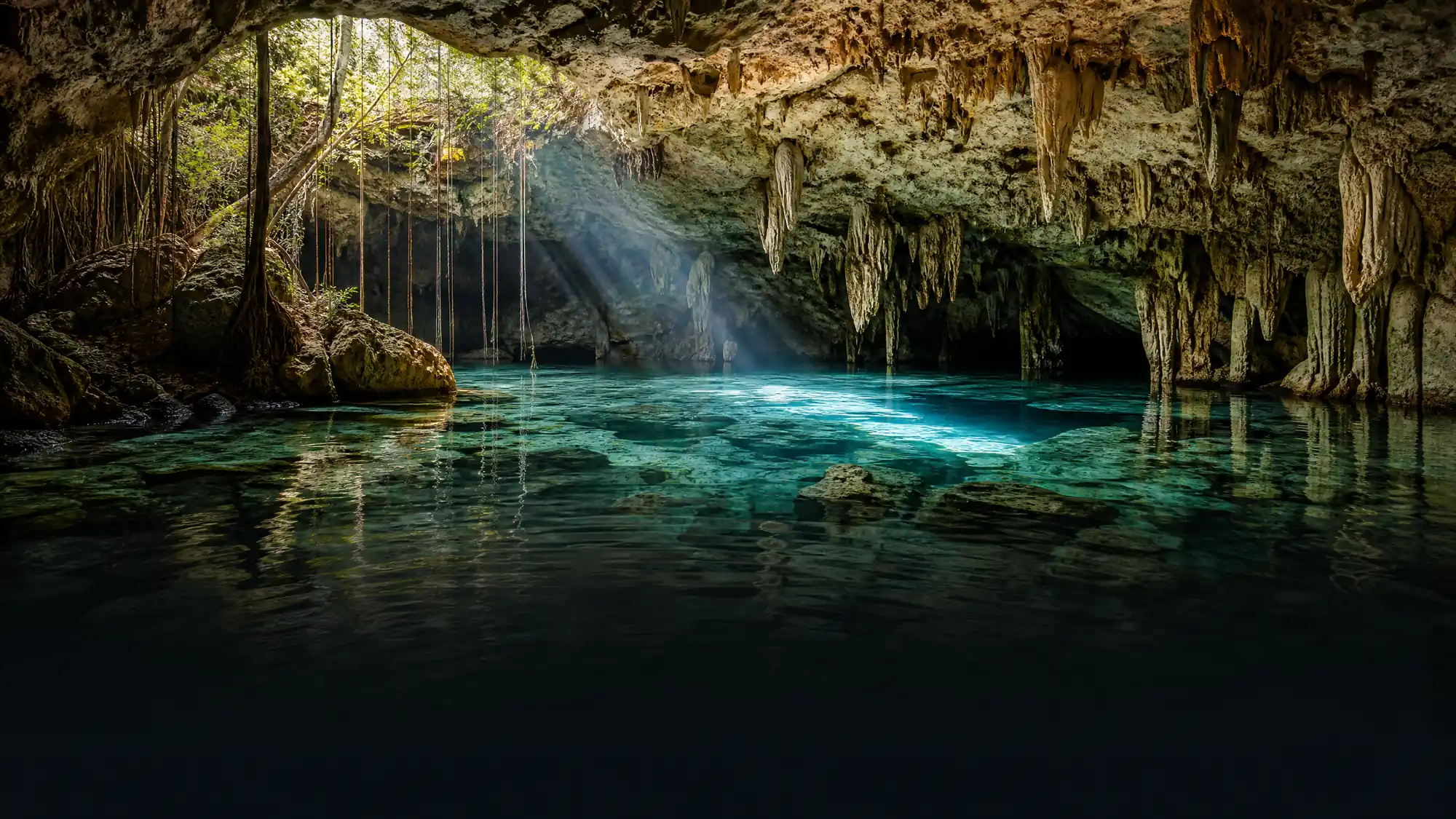 Entdecken Sie zwei verbundene Kalkstein-Cenoten im Dschungel nahe Tulum. Schwimmen Sie bei 77°F (25°C) im Süßwasser oder tauchen Sie durch kartierte Cavernen-Routen.