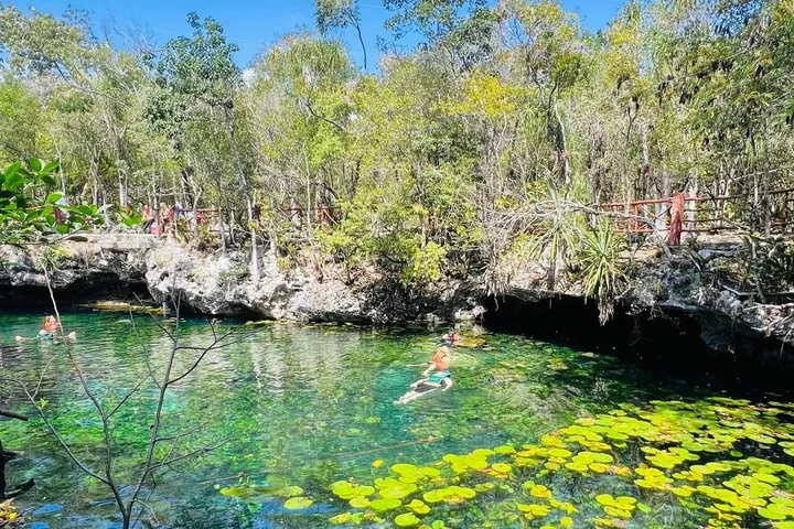 Badegäste genießen das klare, von Seerosenblättern bedeckte Wasser im Cenote Dos Ojos.